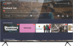HYUNDAI 55" UHD Tizen QLED Smart TV 2024