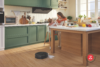 Roborock Q8 Max+ Robotic Vacuum and Mop with Auto-Emptying Docking - Image 7