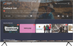 HYUNDAI 65" UHD Tizen QLED Smart TV 2024