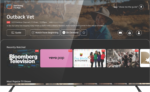 HYUNDAI 75" UHD Tizen QLED Smart TV 2024