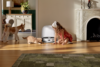 Roborock QRevo Curv 2 Flow Robotic Vacuum - Image 15