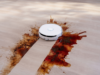 Narwal Flow Robot Vacuum and Mop - Image 13